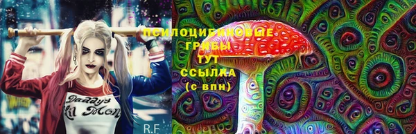 дурь Алексин