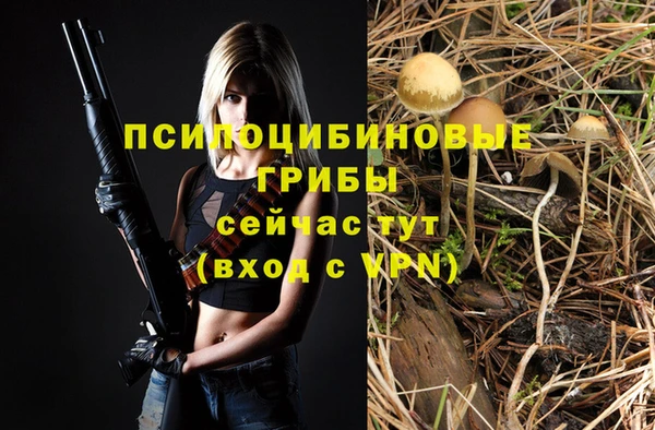 дурь Алексин
