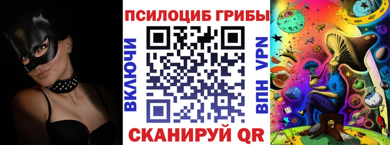 дарнет шоп  Похвистнево  Галлюциногенные грибы Psilocybine cubensis 